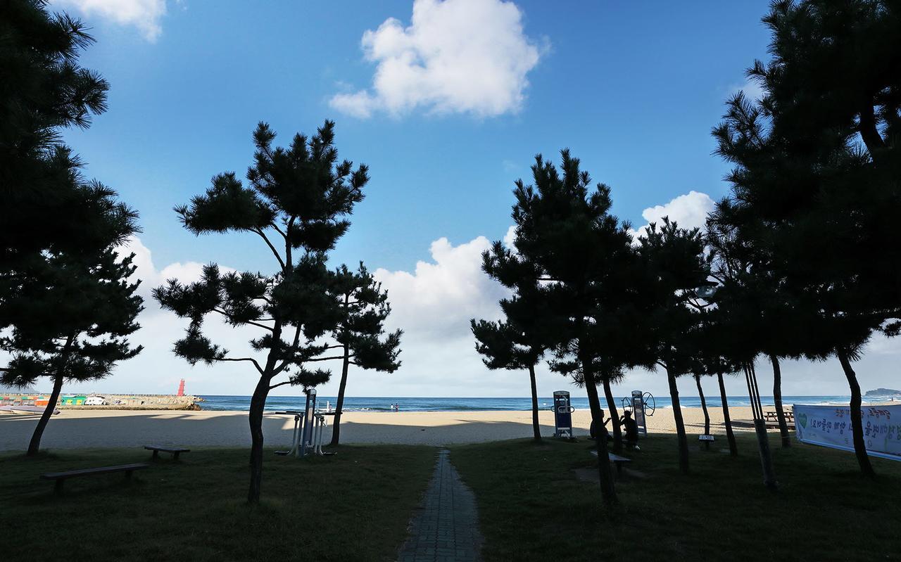 南卡森世界海滩汽车旅馆 襄阳郡 外观 照片